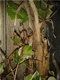 c1d7f9b0-2016-07-06 21.30.21.jpg